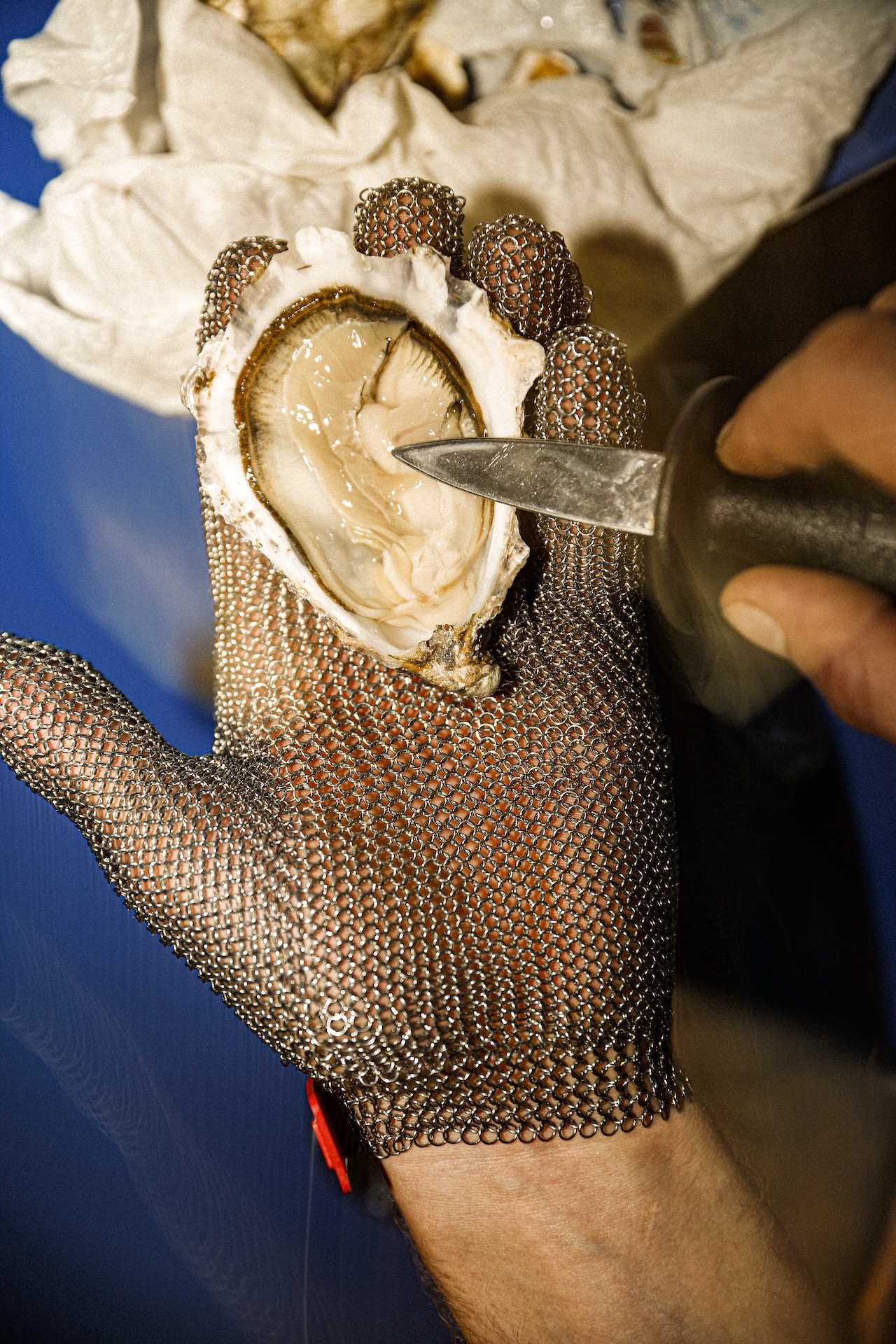 Kalle Halle_PrawnP()rn_Oyster